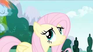 Fluttershy with no Yay