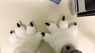 Pawsies arrived and I love them!