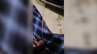 (M) pee on car while sitting!